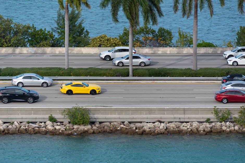 Don’t Go It Alone: Why a Florida Auto Insurance Agency is Your Best Bet