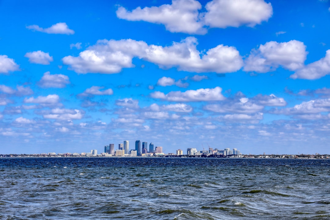 Your Quick Guide to Car Insurance Quotes in Tampa