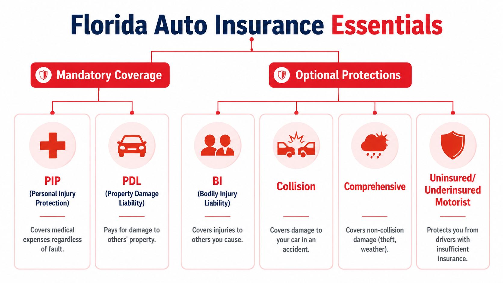 A flowchart explaining mandatory and optional auto insurance coverage requirements for drivers in the state of Florida.
