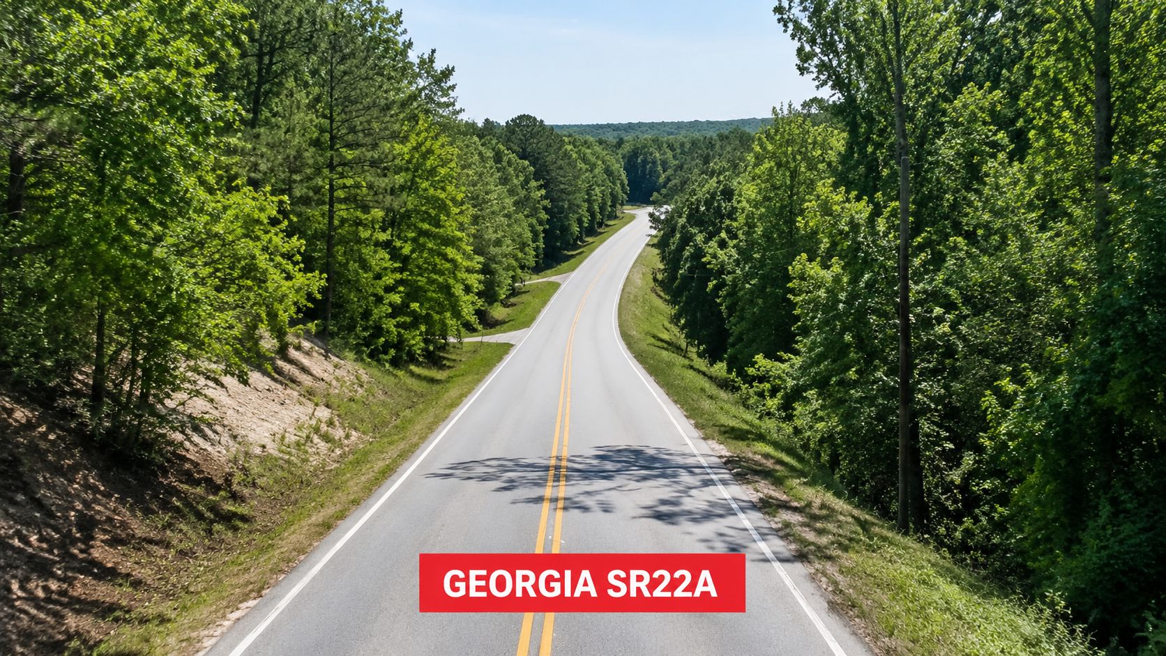 A scenic view of a paved Georgia state road surrounded by lush green forests on a sunny day.