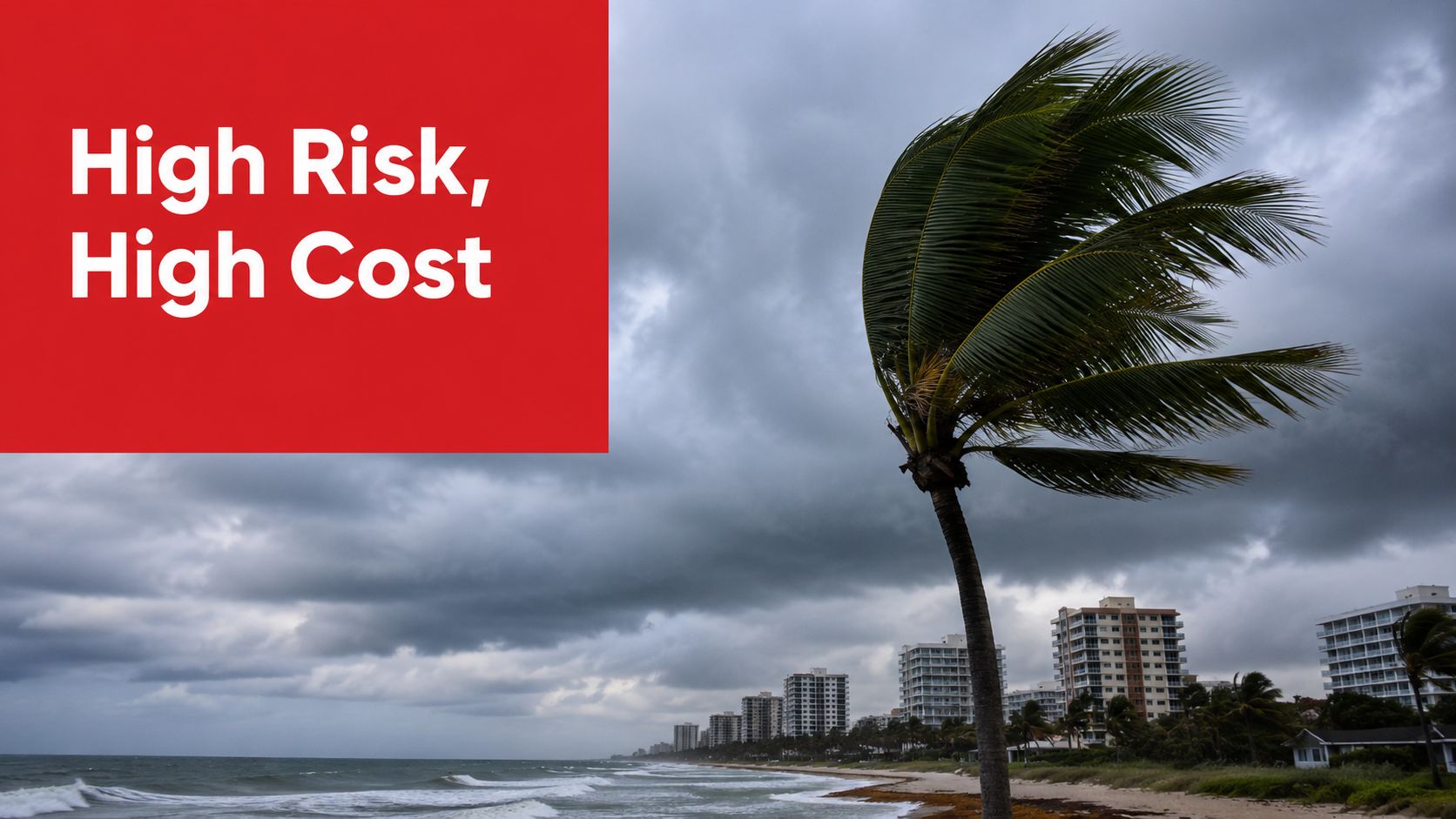 A palm tree blowing in strong winds on a beach in front of coastal apartments during storm.